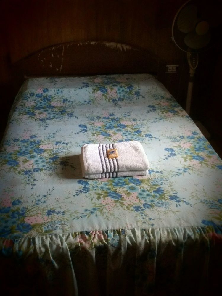 Hilltop Cottages Loboc Ngoại thất bức ảnh